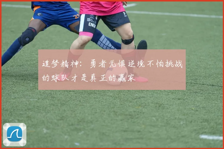追梦精神：勇者无惧逆境不怕挑战的球队才是真正的赢家